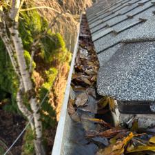 Gutter Cleaning West Linn 0