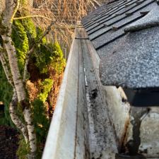 Gutter Cleaning West Linn 1