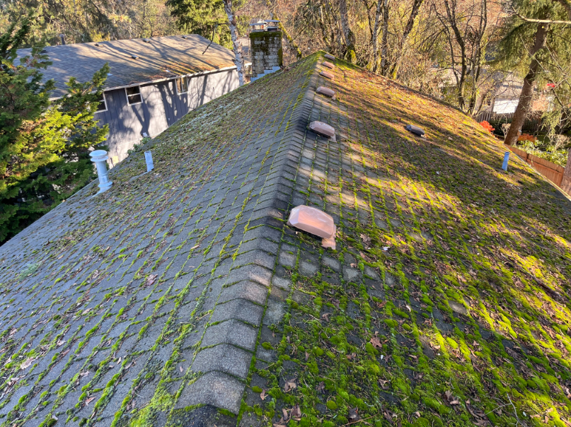 Roof Cleaning in Tualatin, OR