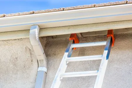 How Often Should I Get My Gutters Cleaned Out?